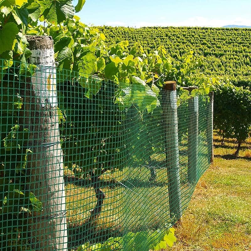 rete elettrosaldata zincata 12x12 H100 cm 25mt Filo 1,2