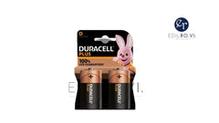 Duracell batterie D2