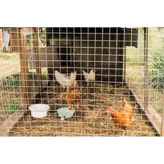 rete elettrosaldata zincata 12x12 H100 cm 25mt Filo 1,2